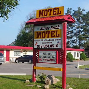 The Silver Birch Motel